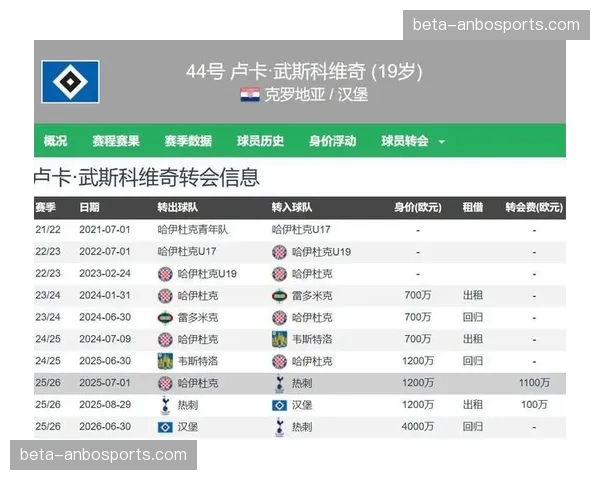 武什科维奇身价跃居德甲中卫前列，热刺外租新星筑起汉堡后防铁闸